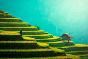 Rivera Lawyers Firm Practice Area Peoperty Law